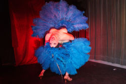 Burlesque Freakout Club 8