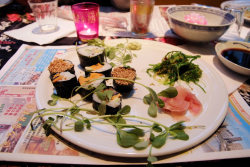 Sushi eten Zaal 100