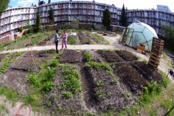 Urban Farming Amsterdam west