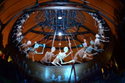 Robodock 'from dusk till dawn' ADM